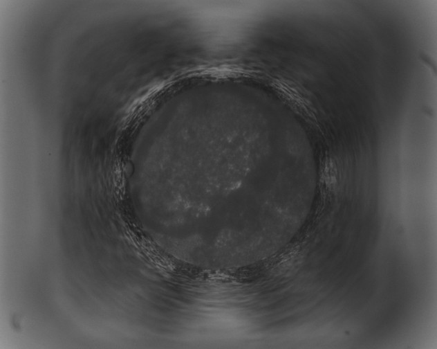 X0000101951398200807181439