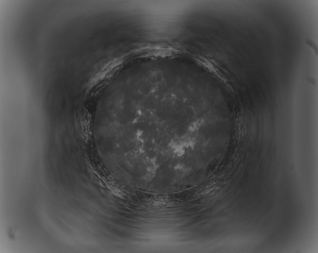 X0000101951399200807181439