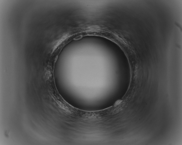 X0000101951400200807181439