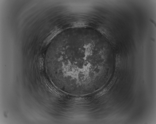 X0000101951401200807181439