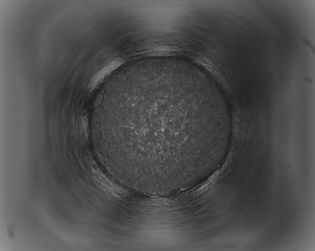 X0000101951402200807181439