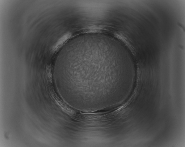 X0000101951403200807181439