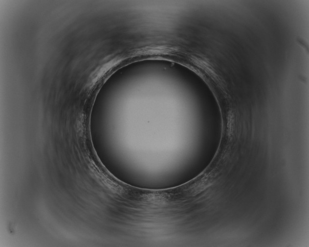 X0000101951404200807181439