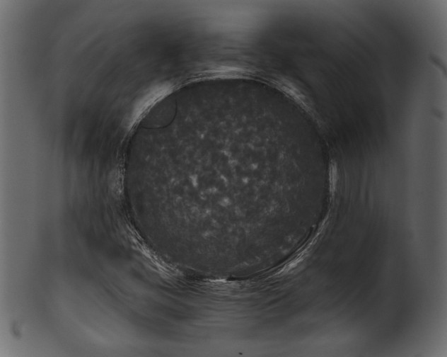 X0000101951405200807181439