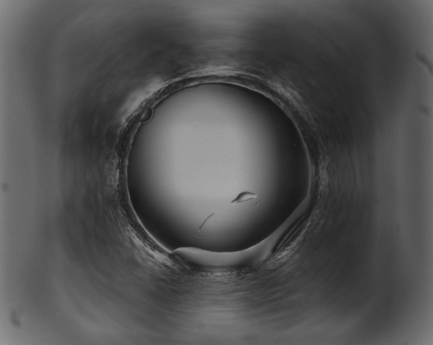 X0000101951406200807181439