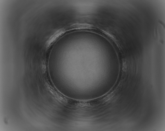 X0000101951407200807181439