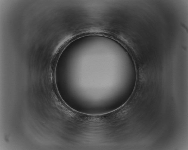 X0000101951408200807181440