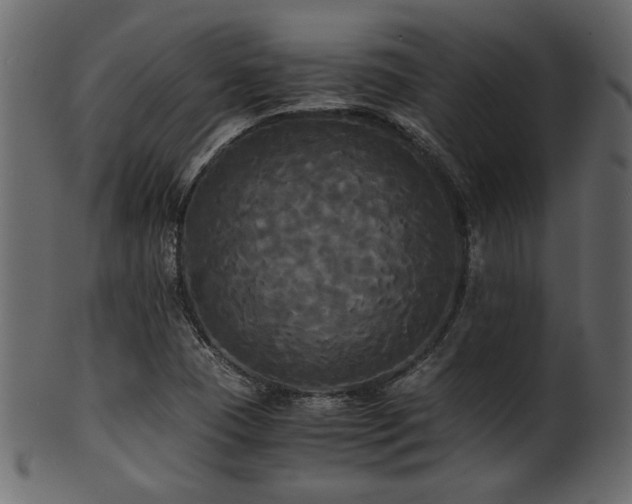 X0000101951409200807181440