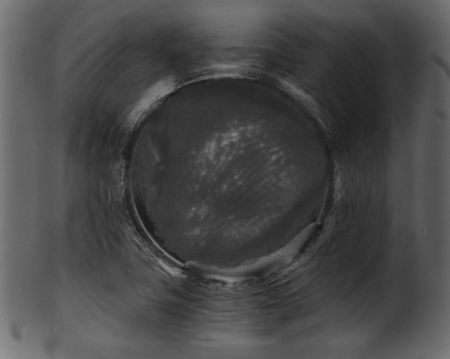 X0000101951411200807181440