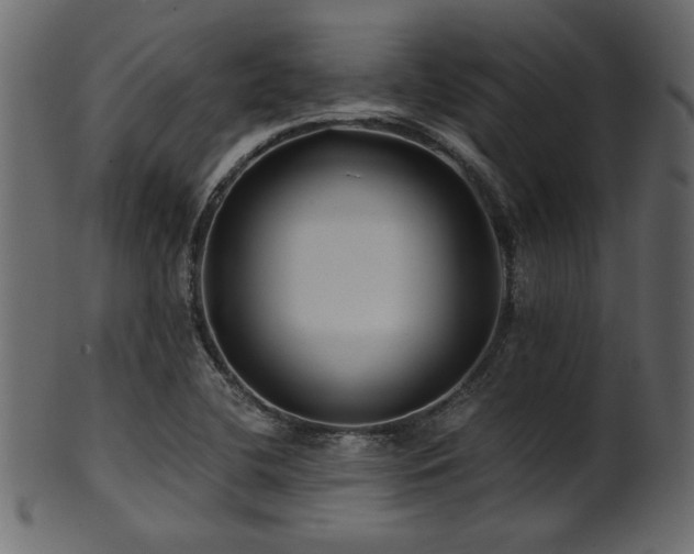 X0000101951412200807181440