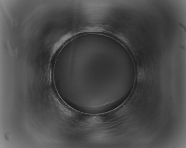 X0000101951414200807181440