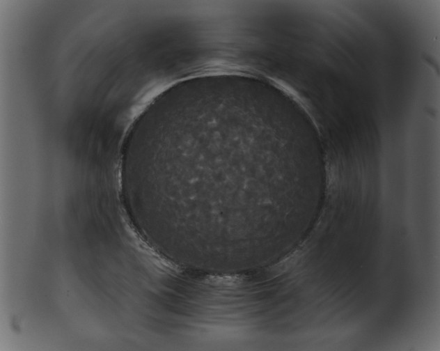 X0000101951415200807181440