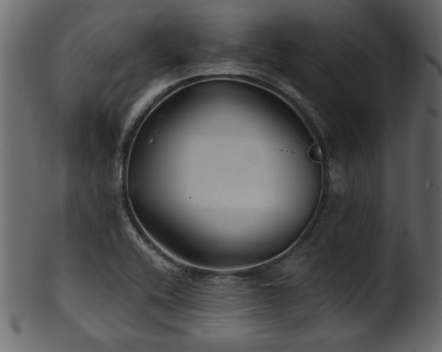 X0000101951416200807181440