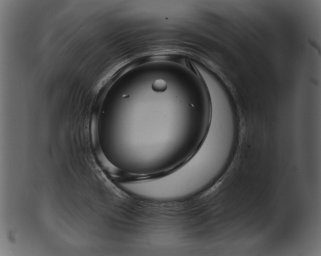 X0000101951417200807181440