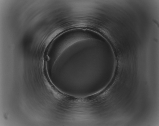 X0000101951418200807181440