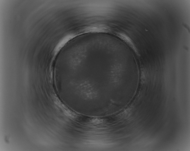 X0000101951419200807181440