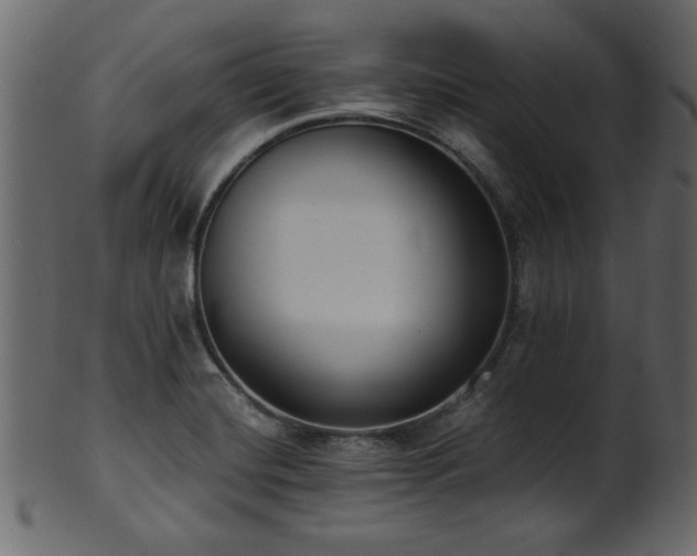 X0000101951420200807181440