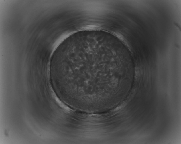 X0000101951421200807181440