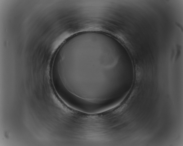 X0000101951422200807181440