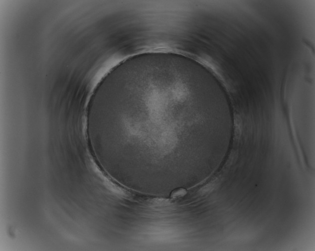 X0000101951424200807181440