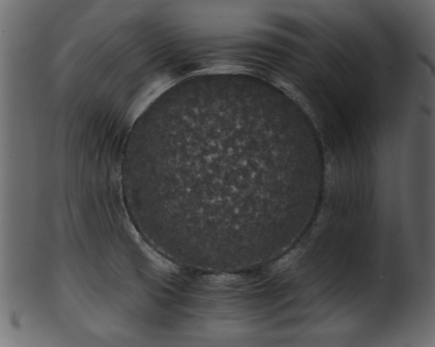 X0000101951425200807181440