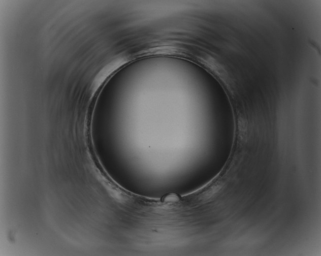 X0000101951426200807181440