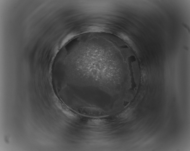 X0000101951427200807181440