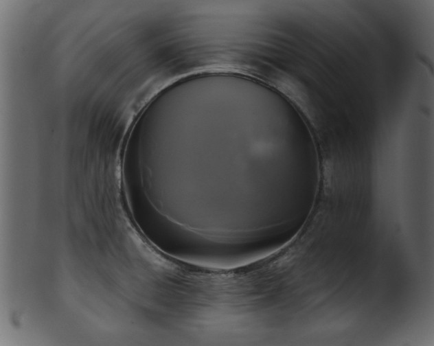 X0000101951428200807181440