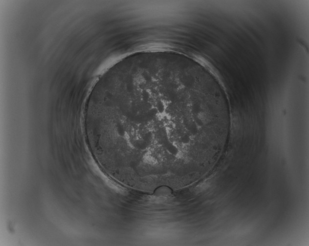 X0000101951429200807181440