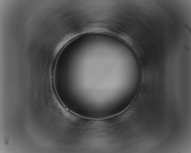 X0000101951430200807181440