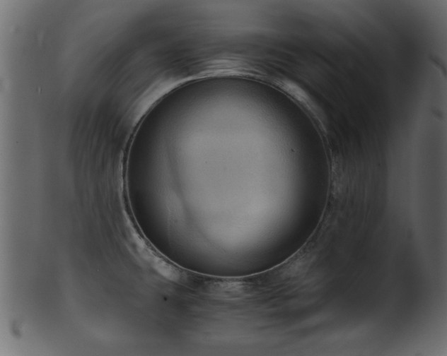 X0000101951431200807181440