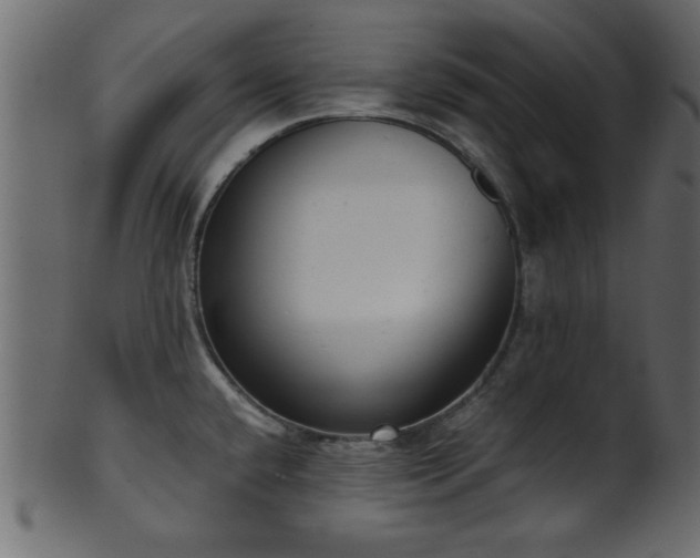 X0000101951432200807181440