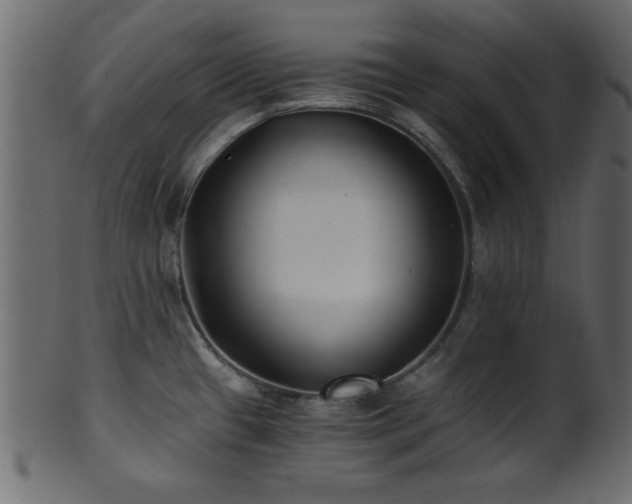 X0000101951433200807181440