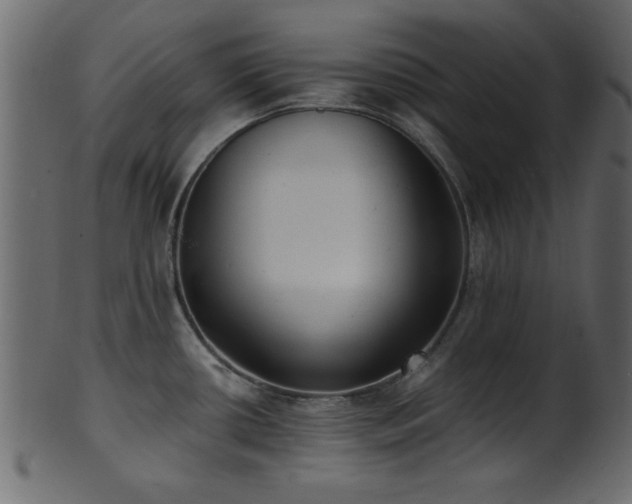 X0000101951434200807181440