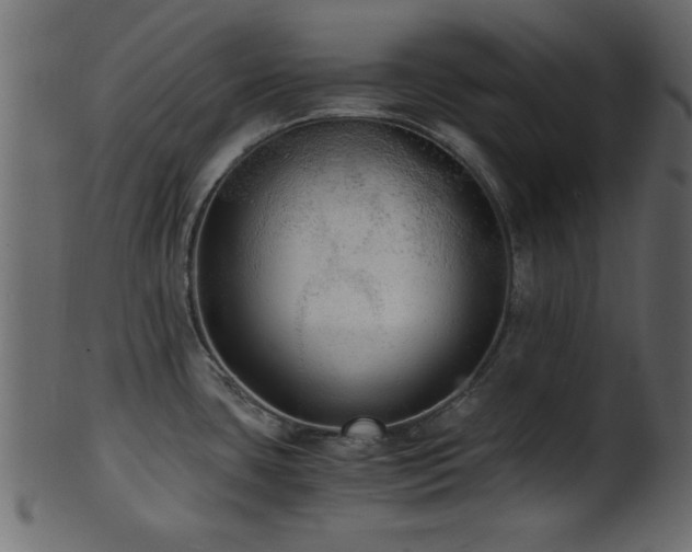 X0000101951435200807181440