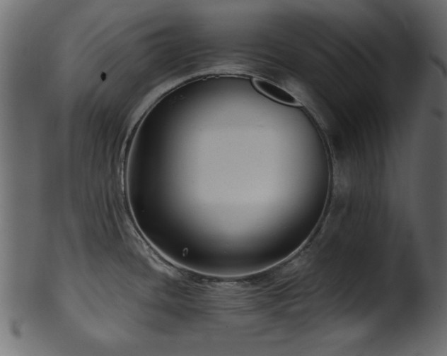 X0000101951436200807181440