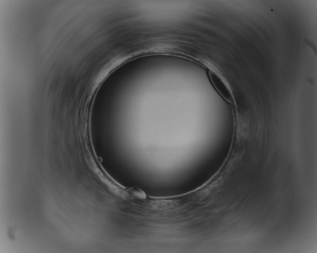 X0000101951437200807181440