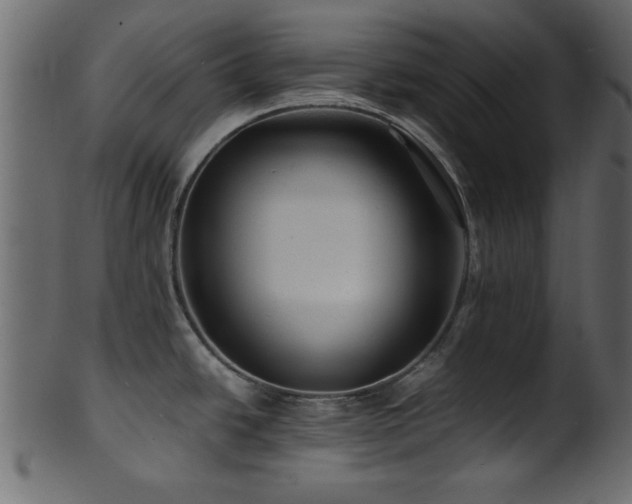 X0000101951438200807181440