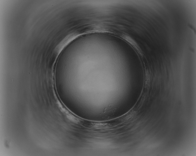 X0000101951439200807181440