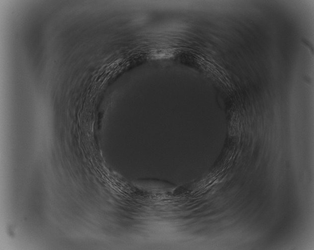 X0000101951441200807181439