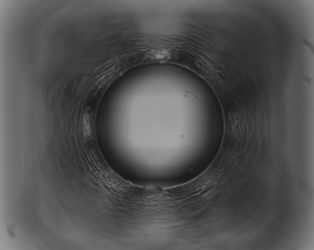 X0000101951442200807181439