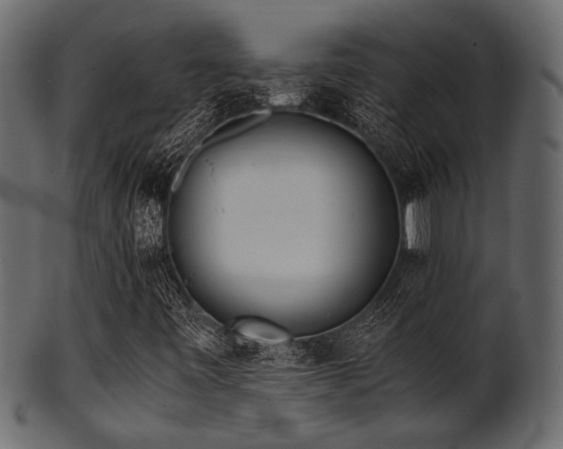 X0000101951443200807181439