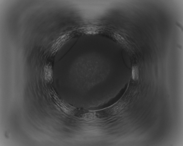 X0000101951444200807181439