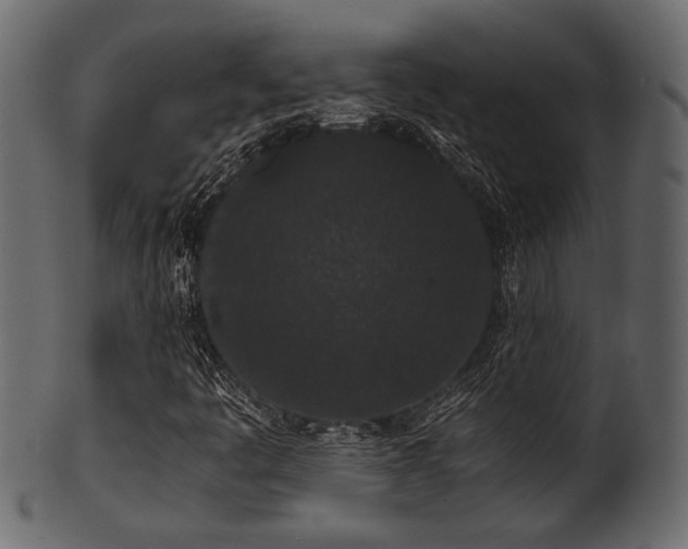 X0000101951445200807181439