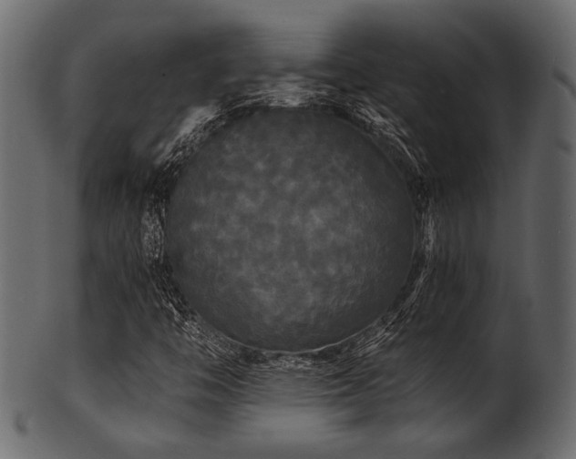 X0000101951446200807181439