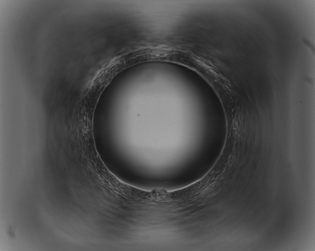 X0000101951447200807181439