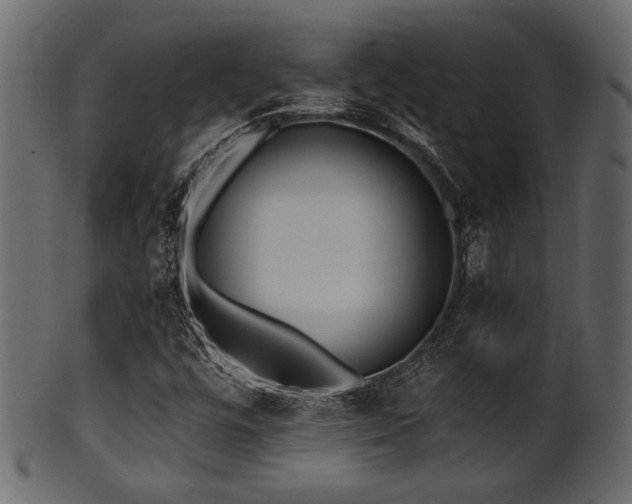 X0000101951448200807181439