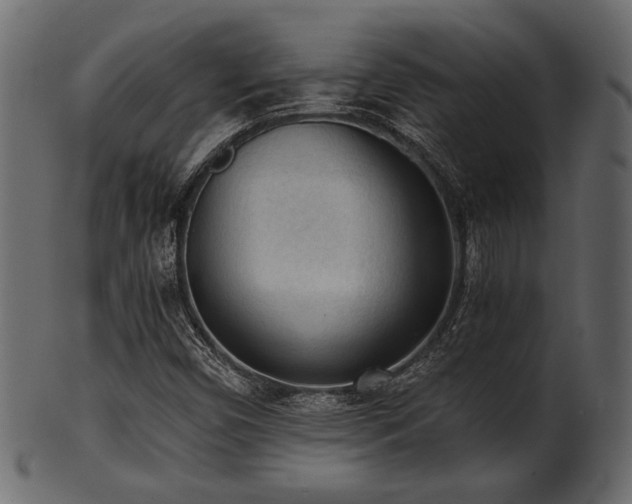 X0000101951450200807181439