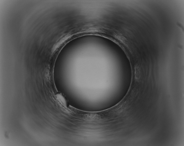 X0000101951452200807181439