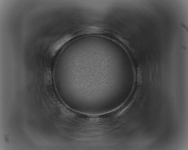 X0000101951453200807181439